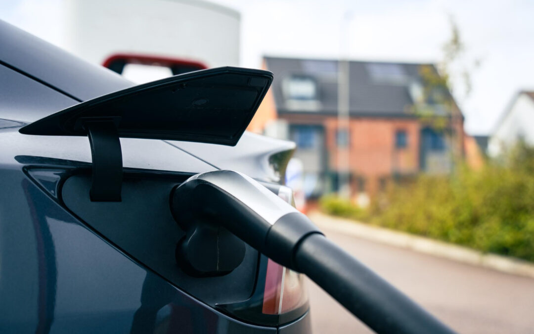 Grønne veje til vækst: Når virksomheder tænker genbrug og fleksibilitet