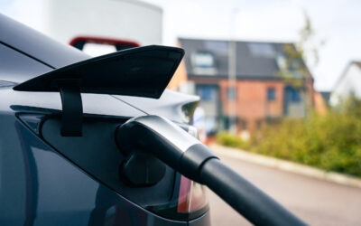 Grønne veje til vækst: Når virksomheder tænker genbrug og fleksibilitet