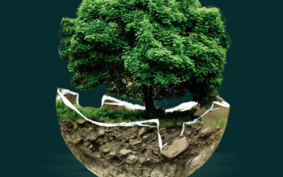 Et bidrag fra den finansielle verden