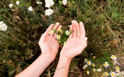 Bæredygtige begravelser – når den sidste afsked også tager hensyn til naturen