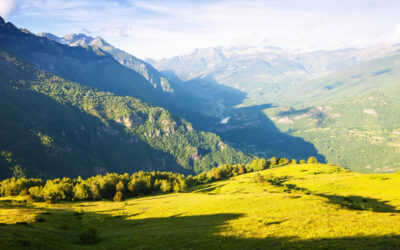 Biologi: Genbrug, naturgeografi og biologi – hvad har det tilfælles?