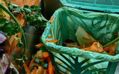 Biobag Zenzo – kvalitet og innovation i moderne bioposer